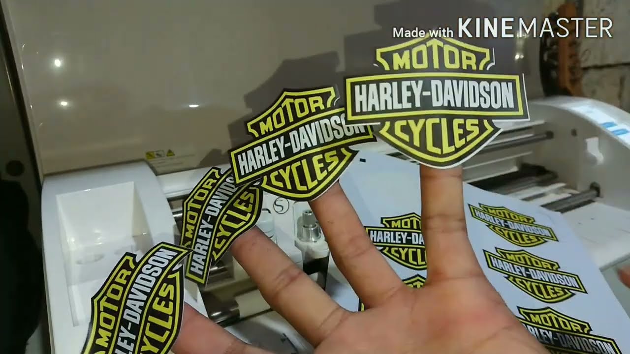 Print and Cut A4 size Vinyl Without Cutting Mat Using Cameo 3 (plus Fixed Cutting Errors)