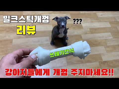 개껌이 어떻게 만들어지는지 아시나요? 강아지들에게 개껌 먹이지마세요! | 밀크 본 스틱 개껌 | 반려견 제품 리뷰