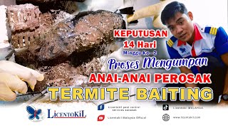 Termite treatment after 7days (Follow-up progress)! by LicentokiL Malaysia Official 19 views 6 months ago 2 minutes, 18 seconds