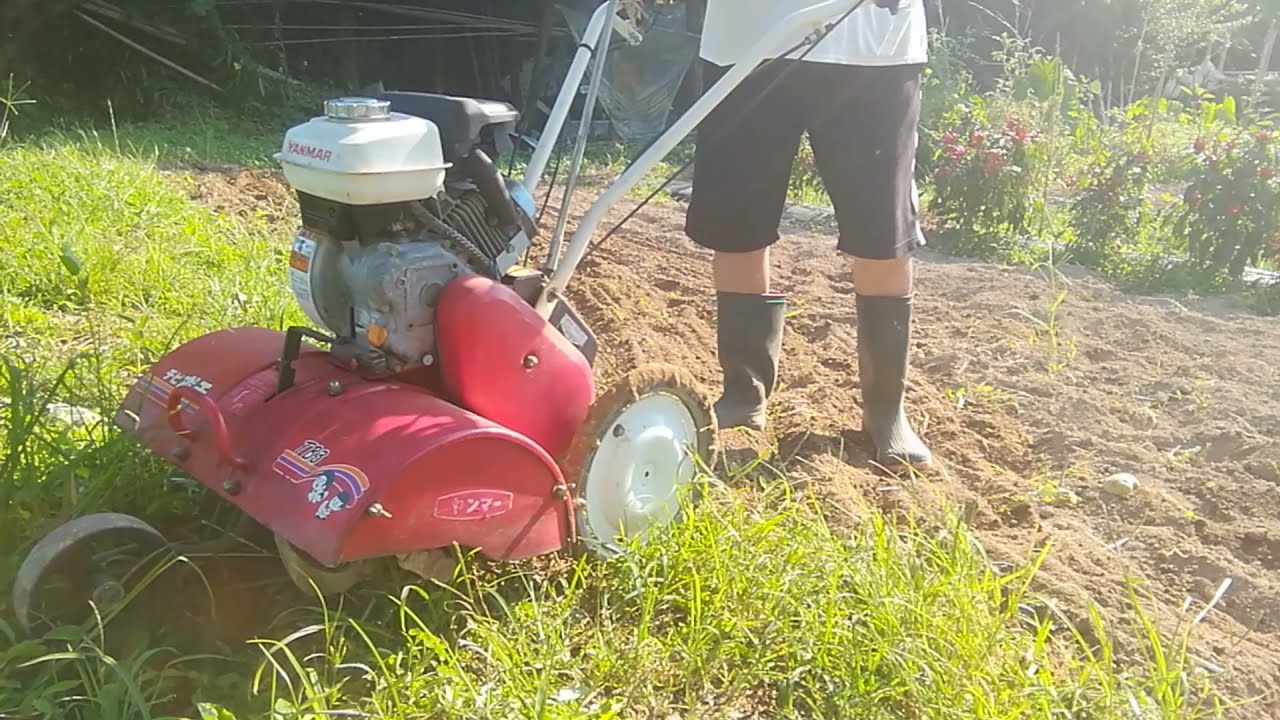 ⛔ご成約⛔　ヤンマー　TB3H チビポチ　耕運機 Yahoo!オークション - ヤンマー 管理機 耕運機 TB3 チビポチ 3馬力 動