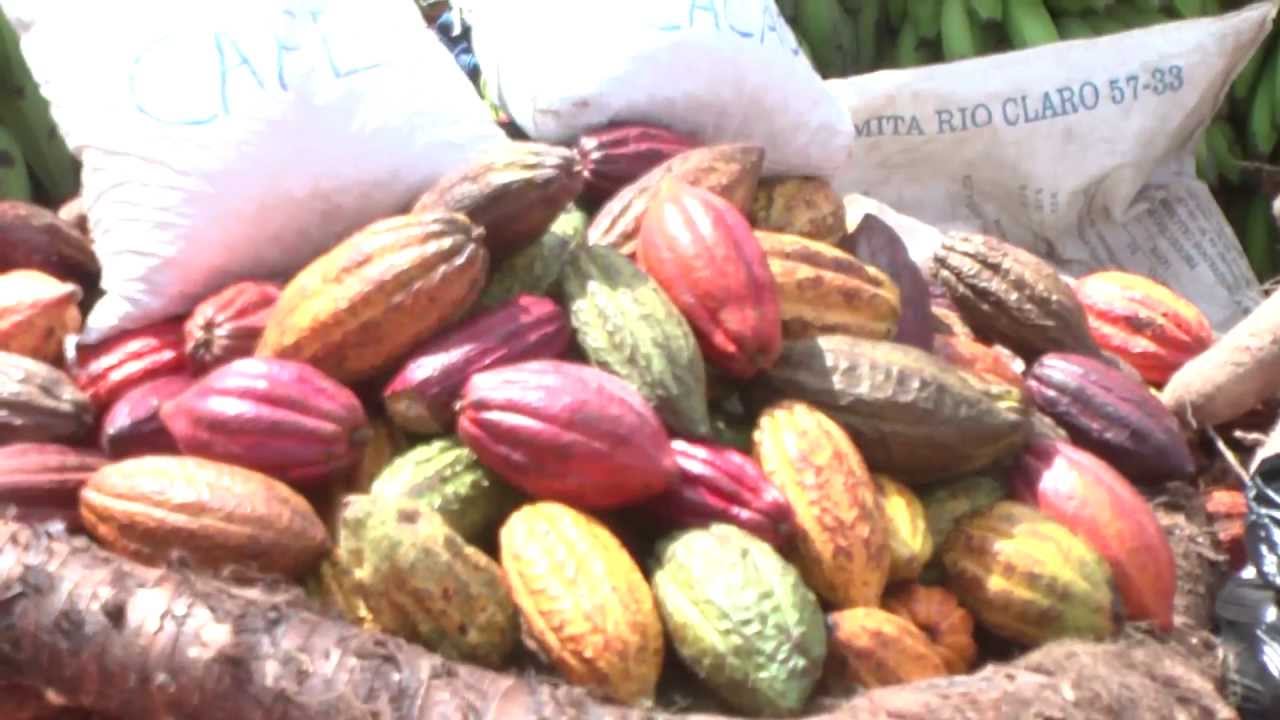 Corpus Cristi en Zapatoca camera iphone 8 plus apk