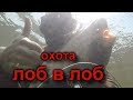 ПОДВОДНАЯ ОХОТА СПЛАВОМ!!! Spearfishing in Volga 2019! Подводная охота на Волге!!!Амур, Толстолобик!