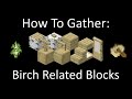 Minecraft Tutorial -  How to gather: Birch Related Blocks