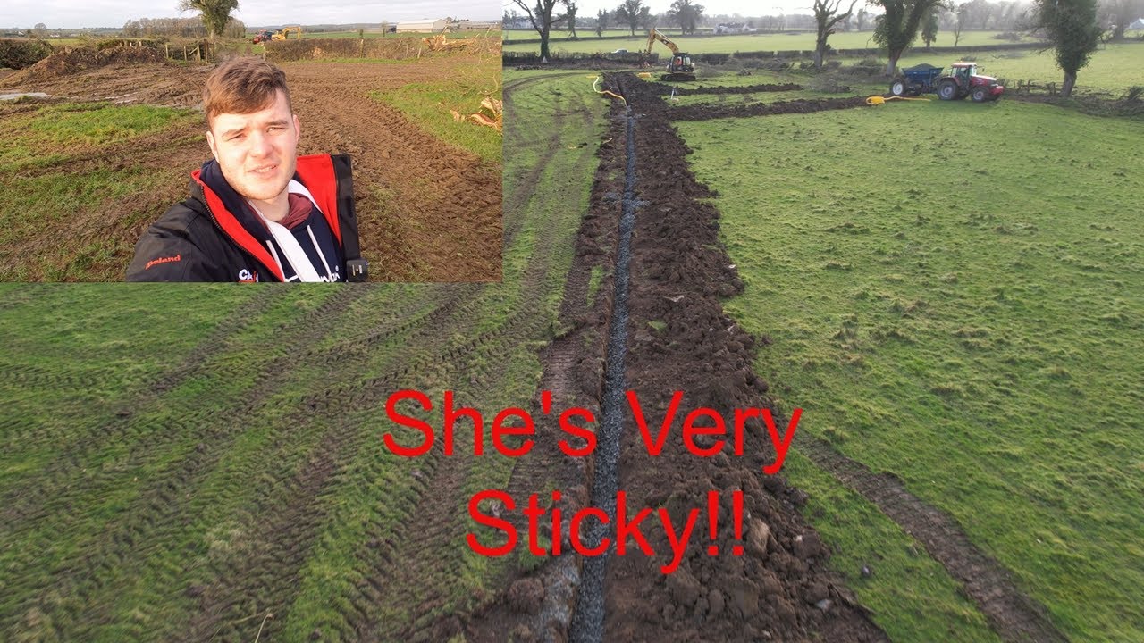 ВЕСЕННЯЯ УБОРКА НА ФЕРМЕ!