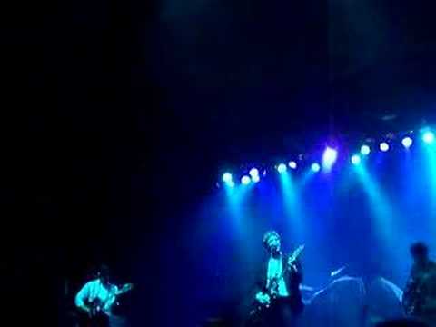 the walkmen - live - new song (if only it were true)