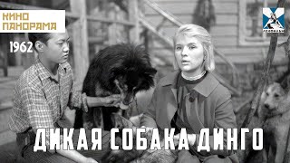 Дикая собака динго (1962 год) драма