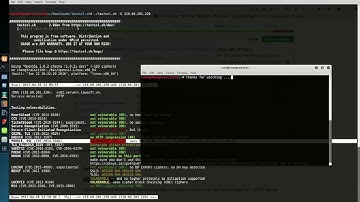TestSSL - SSL & TLS Penetration Testing