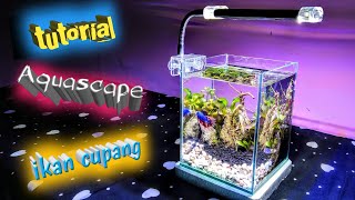 cara menghias aquarium sederhana untuk ikan cupang