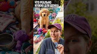 НЕ ПОКУПАЙТЕ ЭТО ЩЕНКУ! #животные #собака #ошибки