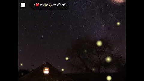القارئ(نور الدين سليم) سورة الفرقان🔸️surah Al-furqan