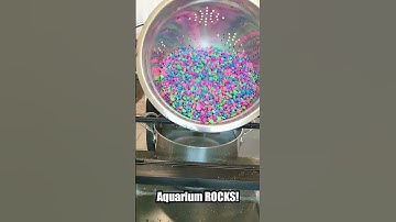 DIY Hydroponic System for Kids - Tutorial