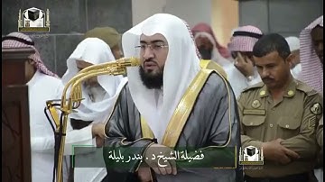 سورة الكافرون الشيخ: بندر بليلة