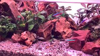 Falls In Shallow Tank