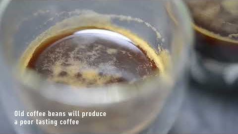 Top 5 Best Espresso Machine for Beginners In 2023