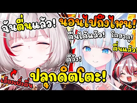 อูโตะจัง พยายามปลุก และ กวนดิตโตะ ที่ส่งเสียงงัวเงีย เพราะเพิ่งตื่นก่อนมาสตรีม !!  [ Vtuber ซับไทย ]