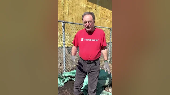 Wake up your dormant fig tree