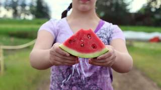 Where the Watermelons Grow Book Trailer