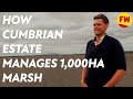 How a cumbrian estate manages 1000ha marsh