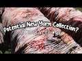 Studio Vlog #63 - Potential New Yarn Collection? Indie Yarn Dyer ¦ The Corner of Craft