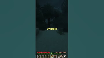 Bee Wars: My HOA vs. My Buzzing Backyard