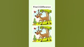 Can you find the Hidden difference!?