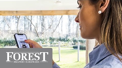 Forest Motor Control Options