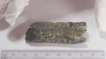 Metamorphic Rock 12 - Lab 8