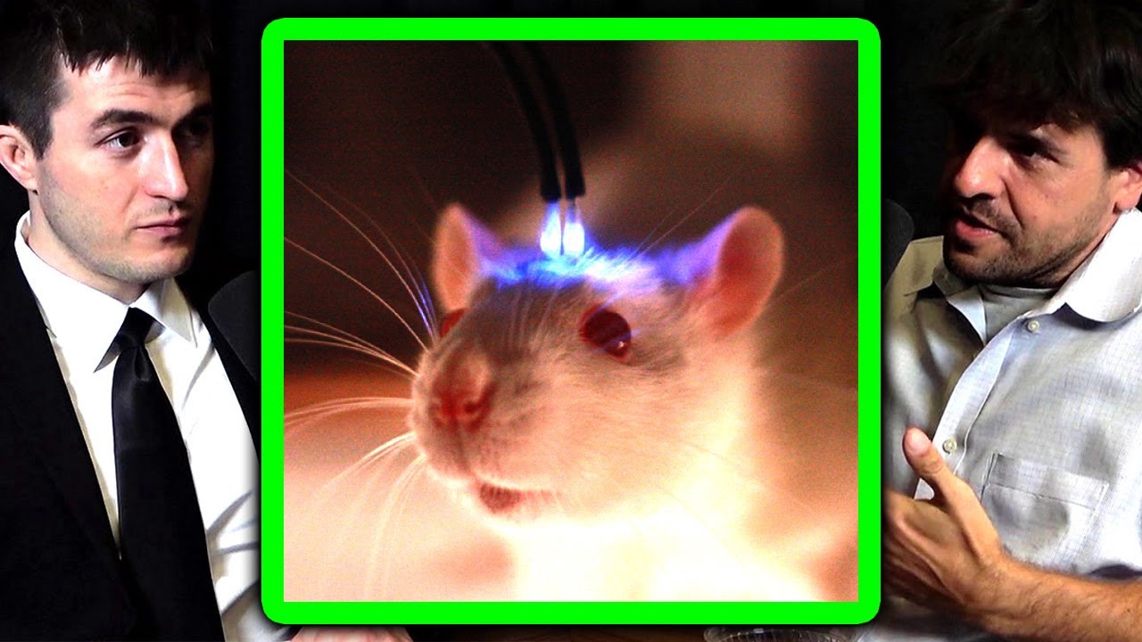 How to control the brain with light | Karl Deisseroth and Lex Fridman