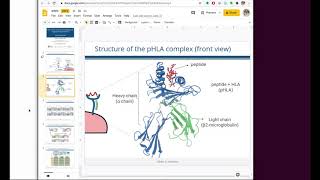 HLA-Arena video tutorial (Part 1)