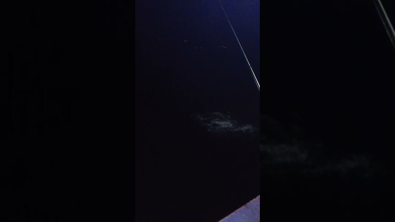 Seal Jump Scare While Fishing At Midnight