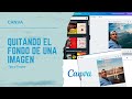 BORRAR el FONDO de tus FOTOS en Canva [ Version PRO] – 2021