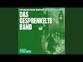 Miniature de la vidéo de la chanson Das Gesprenkelte Band, Part 19