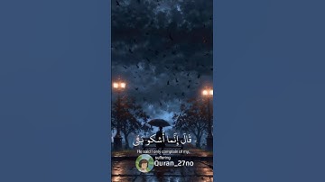 اكتب شيء تؤجر عليه🤍🌸 #تلاوات #اكسبلور #سورة_البقرة #تريند #قرآن #عبدالرحمن_مسعد #حالات_واتس