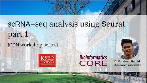scRNA-seq analysis using Seurat, part 1 [CDN workshop]