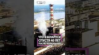 Жизнь после Чернобыля. Что в Беларуси с пострадавшими землями?