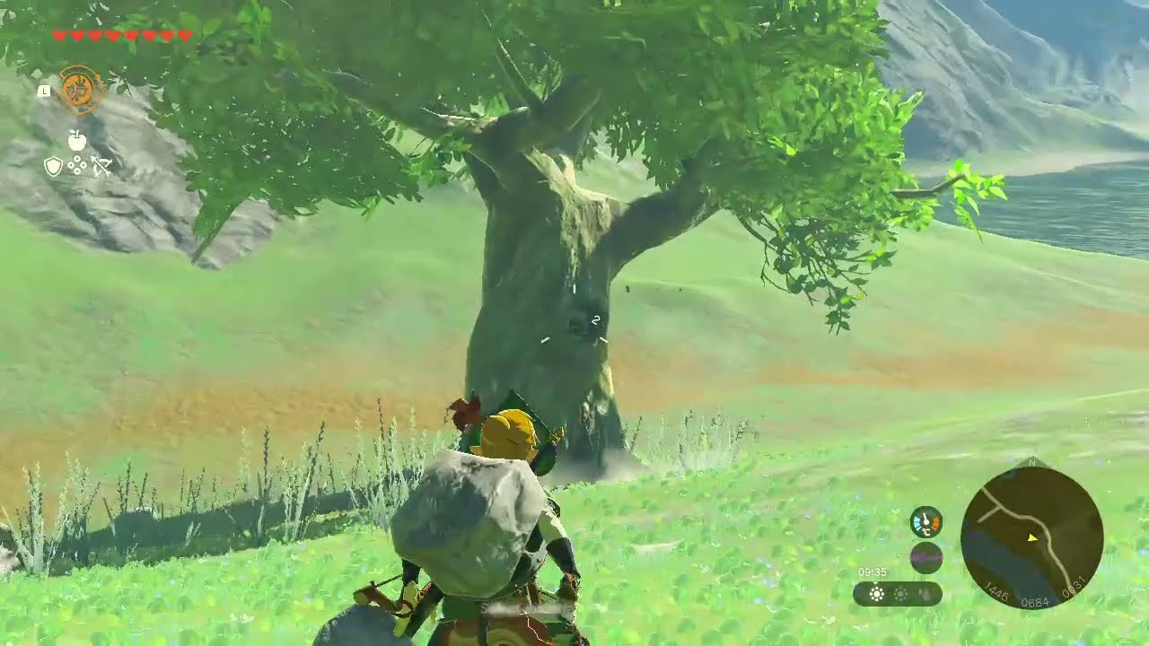 [DAY 387] of finding one korok seed in TotK everyday until a new Zelda game comes out