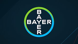 60 тысяч гектаров картофеля в одном Суздале. Почему надо быть на семинаре Bayer.