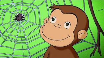 ¡Jorge no le tiene miedo a las arañas! | Jorge El Curioso En Español