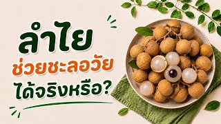 Can Longan Actually Slow Down Aging? Let’s Look at the Nutritional Evidence Can Longan Actually Slow Down Aging? Let’s Look at the Nutritional Evidence