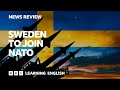 Sweden to join nato bbc news review