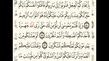 سورة البقرة الصفحة 8 بصوت ياسر الدوسري