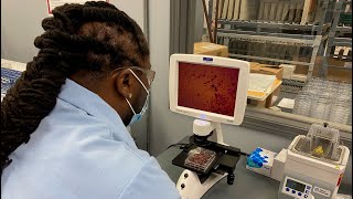 TCNA Antiviral Testing Services
