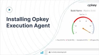 Installing Opkey Execution Agent Wealth
