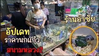 อัปเดท ราคานกแก้ว (ร้านอาชัย) สนามหลวง2