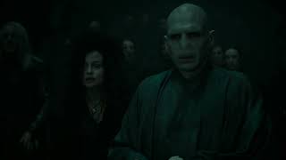 Harry survived the killing curse (Open matte)