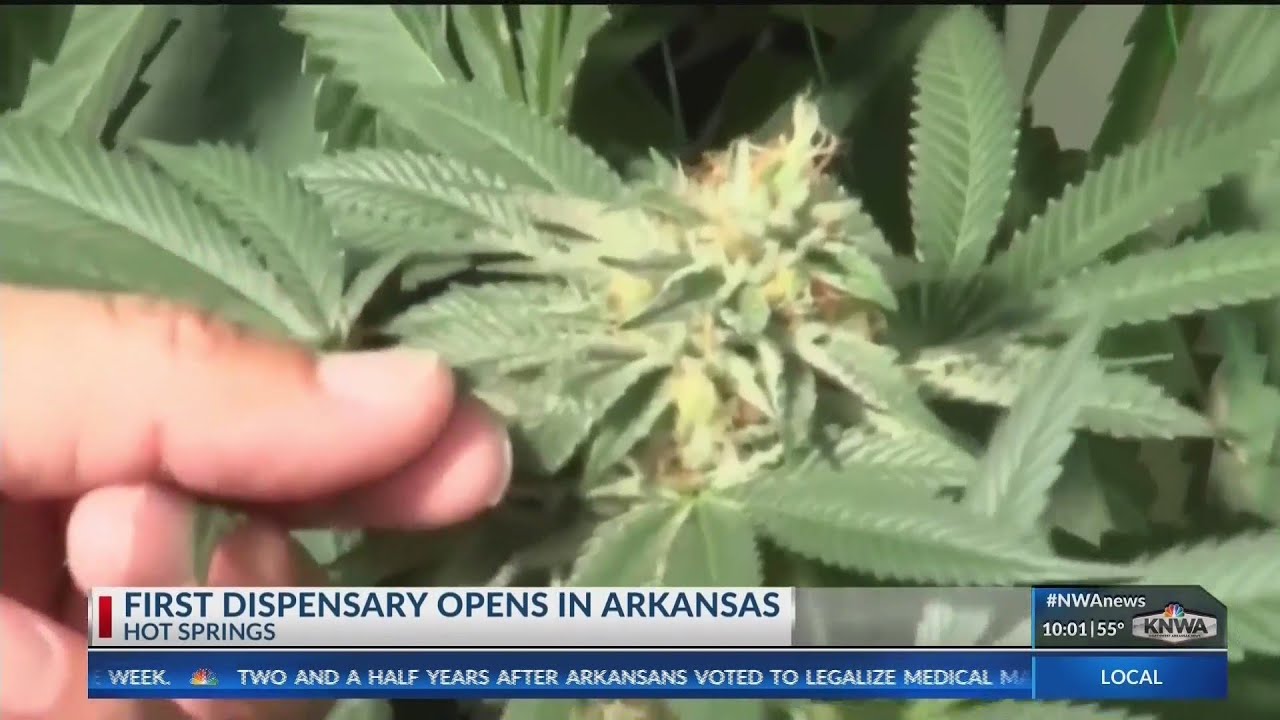 First medical marijuana dispensary opens in Hot Springs; northwest