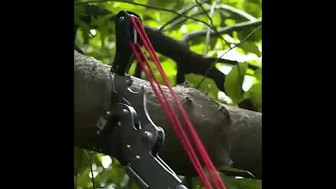 2022 Germany's best-selling high branch saw, easy pruning in 3 seconds, high quality