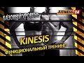 Кинезис - упражнения на все группы мышц №1. Фитнес канал FITNESSS24