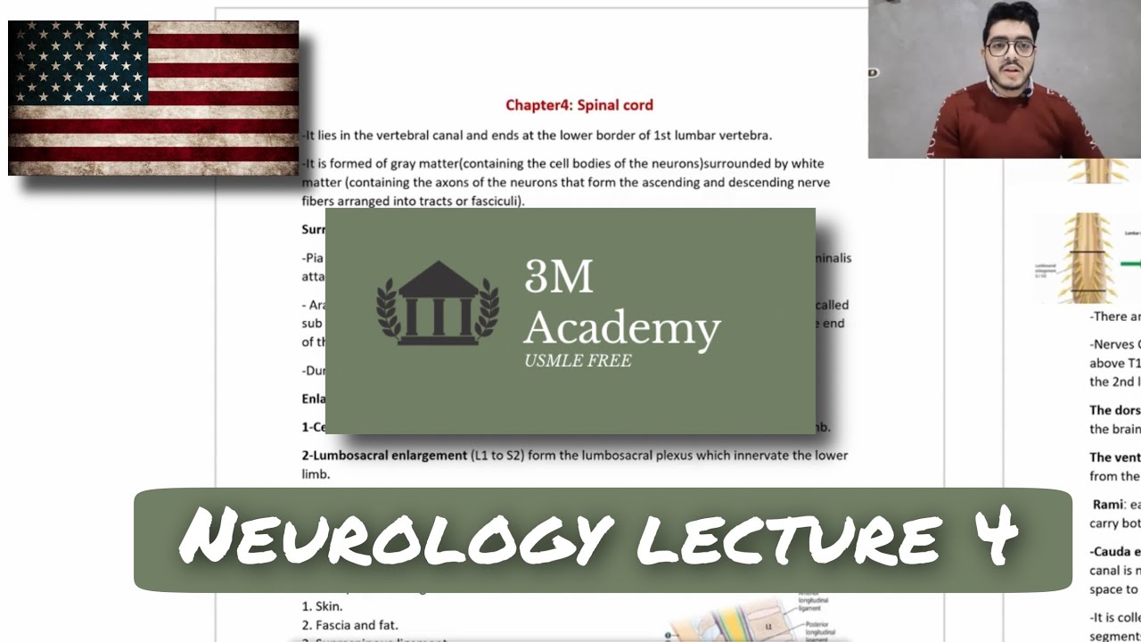3M ACADEMY | USMLE STEP 1 | Neurology lecture 4 "spinal cord" - YouTube