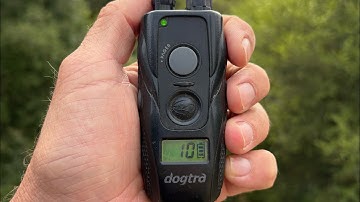 Dogtra E collar functions and recall video